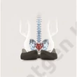 Kép 2/3 - Memóriahabos ergonomikus ülőpárna 