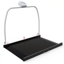 WUNDER RW02 digitálási platform mérleg korláttal 300 kg - Class III